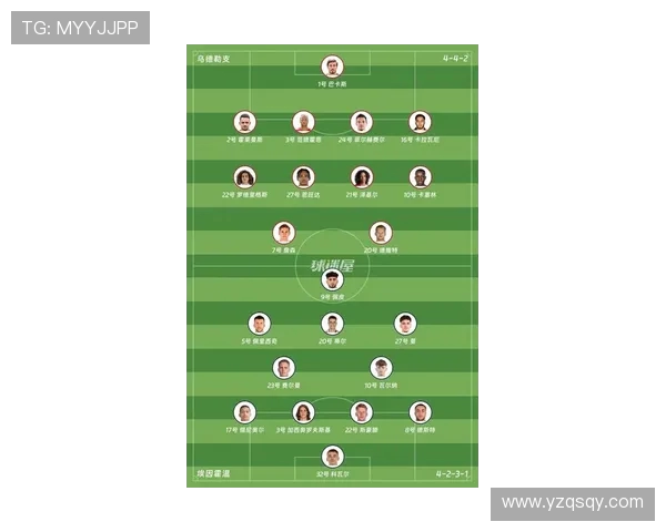 最新德甲球队模板大全及风格设计展示